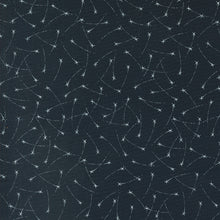 Load image into Gallery viewer, Starry Sky Fat Quarter Bundle #1
